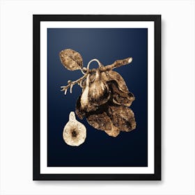 Gold Botanical Fig on Midnight Navy n.4336 Art Print