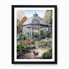 Painting Of A Dog In Gothenburg Botanical Garden, Sweden In The Style Of Watercolour 03 Art Print