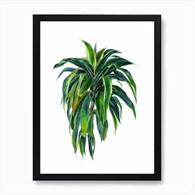 Janet Craig Dracaena (Dracaena Deremensis) Watercolor Art Print