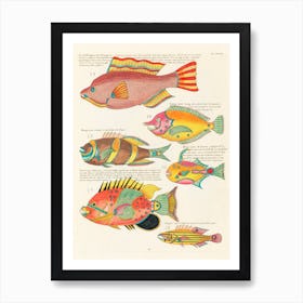 Colourful And Surreal Illustrations Of Fishes Found In Moluccas (Indonesia) And The East Indies, Louis Renard Art Print
