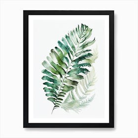 Fan Fern Watercolour Art Print