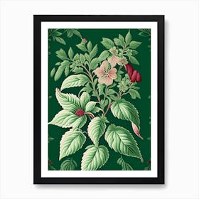 Peppermint 1 Floral Botanical Vintage Poster Flower Art Print