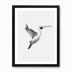 Pelican B&W Pencil Drawing 1 Bird Art Print