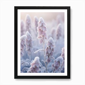 Frosty Botanical Aconitum 3 Art Print