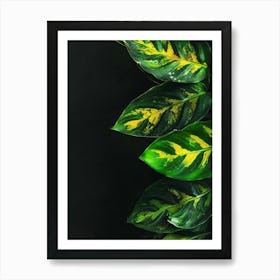 Green Leaves On Black Background 1 Art Print