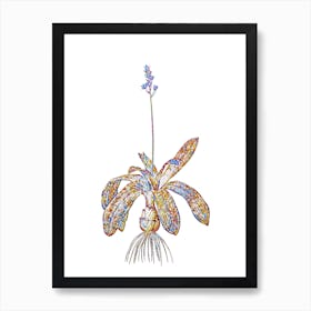 Stained Glass Scilla Lilio Hyacinthus Mosaic Botanical Illustration on White Art Print