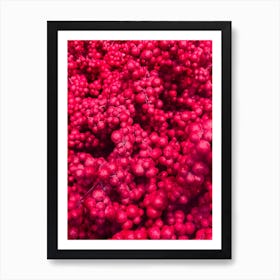 Fruity Pinkness Art Print