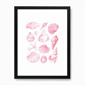 Pink Sea Shells Coastal Beach House Art Print