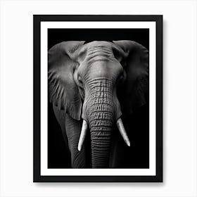 Black And White Photograph Of A Elephant Art Print