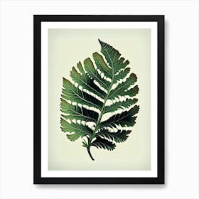 Maidenhair Fern Leaf Vintage Botanical Art Print