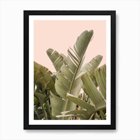 Tropical Leaves On Pastel 2 Art Print