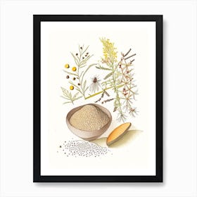 Mustard Seeds Spices And Herbs Pencil Illustration 7 Art Print