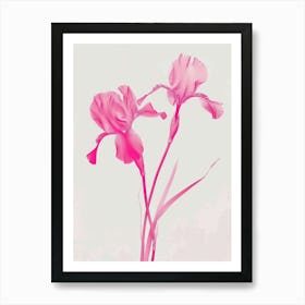 Hot Pink Iris 3 Art Print