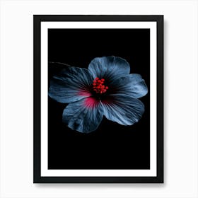 Hibiscus Flower 12 Art Print