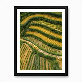 Aerial View Of Rice Fields Art Print