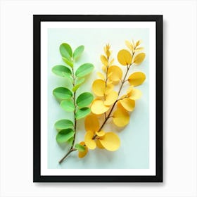 Eucalyptus Leaves Art Print