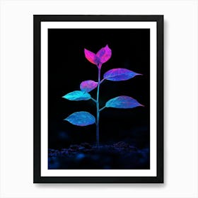 Neon Plant 29 Art Print