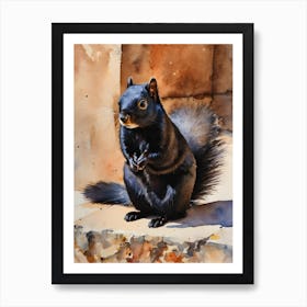 Calabrian Black Squirrel 1 Art Print