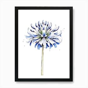 Blue Geranium Poster