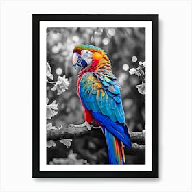 Colorful Parrot Art Print