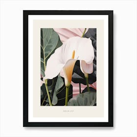 Flower Illustration Calla Lily 3 Poster Art Print