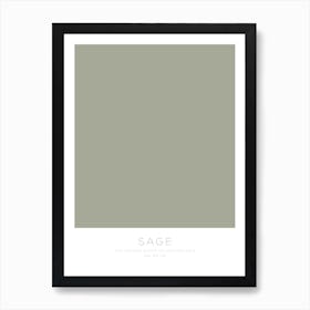 The Colour Block Collection - Sage Art Print