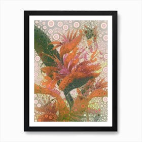 Bird of Paradise Art Print