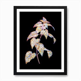 Stained Glass White Dead Nettle Plant Mosaic Botanical Illustration on Black n.0216 Art Print