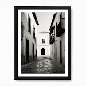 Palencia, Spain, Black And White Analogue Photography 3 Art Print