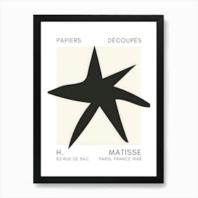 Matisse 26 Art Print