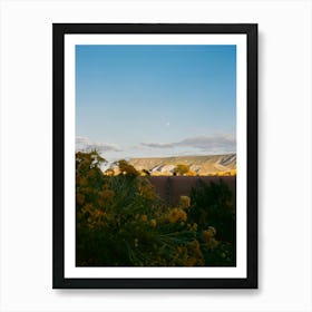 New Mexico Moon on Film Art Print
