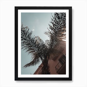 Barcelona Palms Art Print