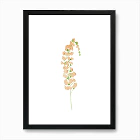 Wild flower 2 Art Print