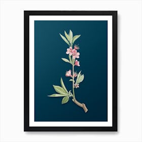 Vintage Pink Flower Branch Botanical Art on Teal Blue n.0365 Art Print