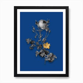 Vintage Celery Leaved Cabbage Rose Black and White Gold Leaf Floral Art on Midnight Blue n.0103 Art Print