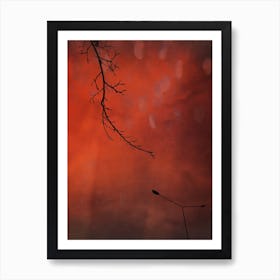 Orange Dream Art Print