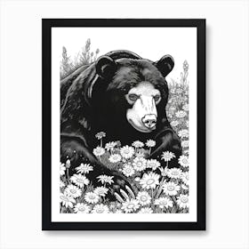 Malayan Sun Bear Resting In A Field Of Daisies Ink Illustration 1 Art Print