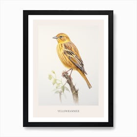 Vintage Bird Drawing Yellowhammer 1 Poster Art Print