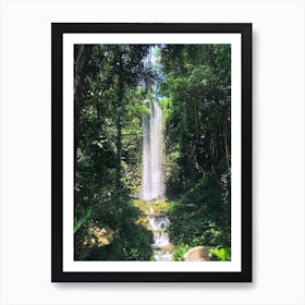 Forest Waterfall Art Print