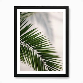 Palm Leaf Art Print