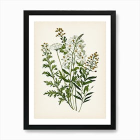 Vintage Botanical Galleria Style Wildflower Painting 12 Poster