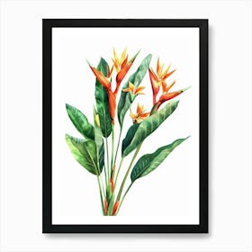 Bird Of Paradise 39 Art Print