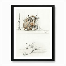 Cow In The Stable And The Head Of A Cow, Jean Bernard Art Print