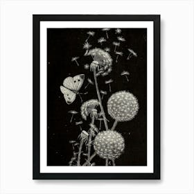 Dandelion 1 Art Print