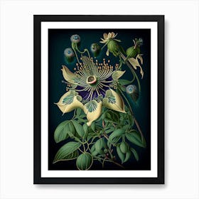 Passion Flower 1 Floral Botanical Vintage Poster Flower Art Print