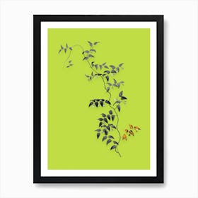 Vintage Bridal Creeper Black and White Gold Leaf Floral Art on Chartreuse n.0026 Art Print