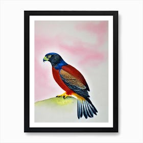 Falcon 2 Watercolour Bird Art Print