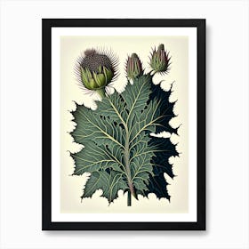 Burdock Herb Vintage Botanical Art Print