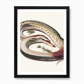 Bull Snake 1 Vintage Art Print