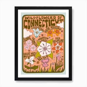 Connecticut Wildflowers Art Print